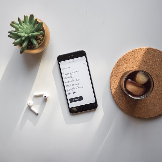 Establishing Professional Identity